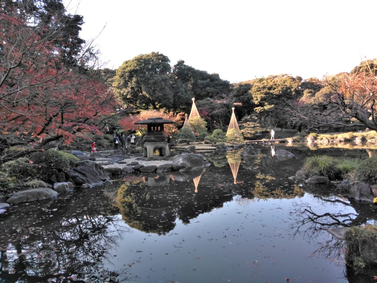 日本庭園　心字池