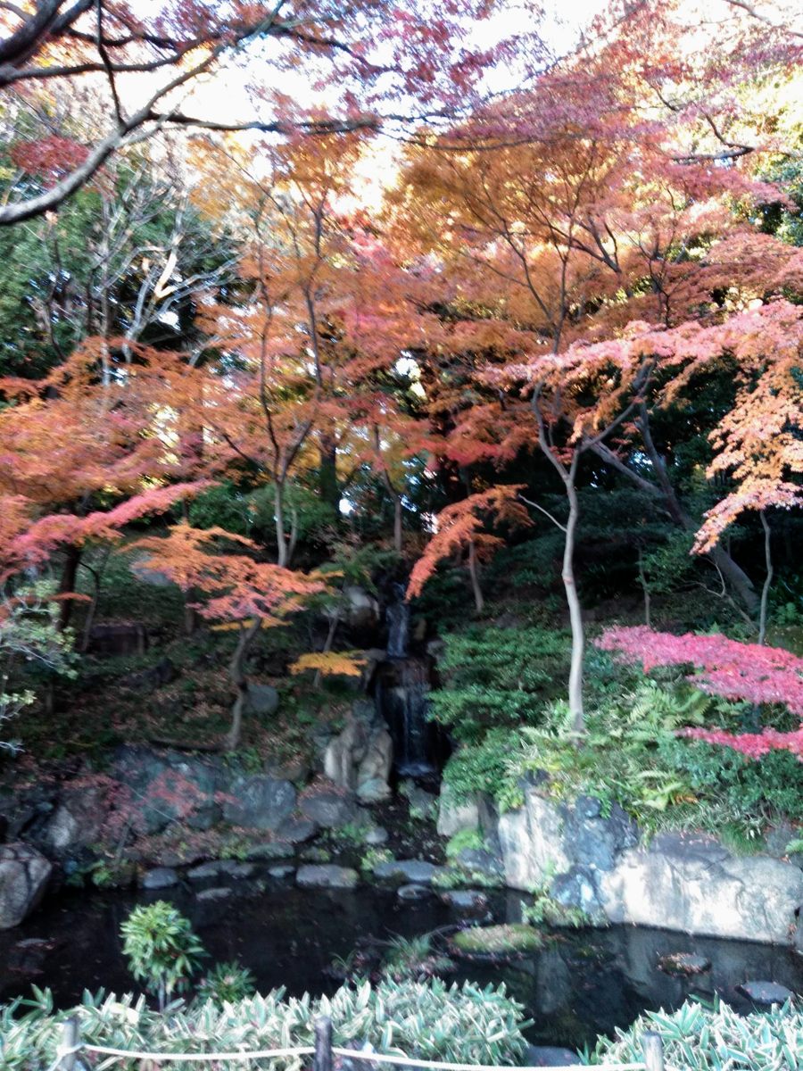 日本庭園　大滝